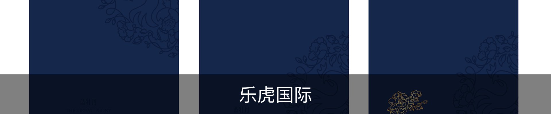 乐虎国际(lehu)中国官方网站 - BIYI SPORTS